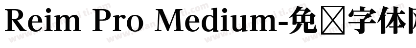 Reim Pro Medium字体转换